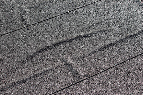 Photo showing rows of bitumen based roofing felt, which have been laid on the roof of a wooden shed so that they overlap, being tacked together with special flat-topped nails / tacks.